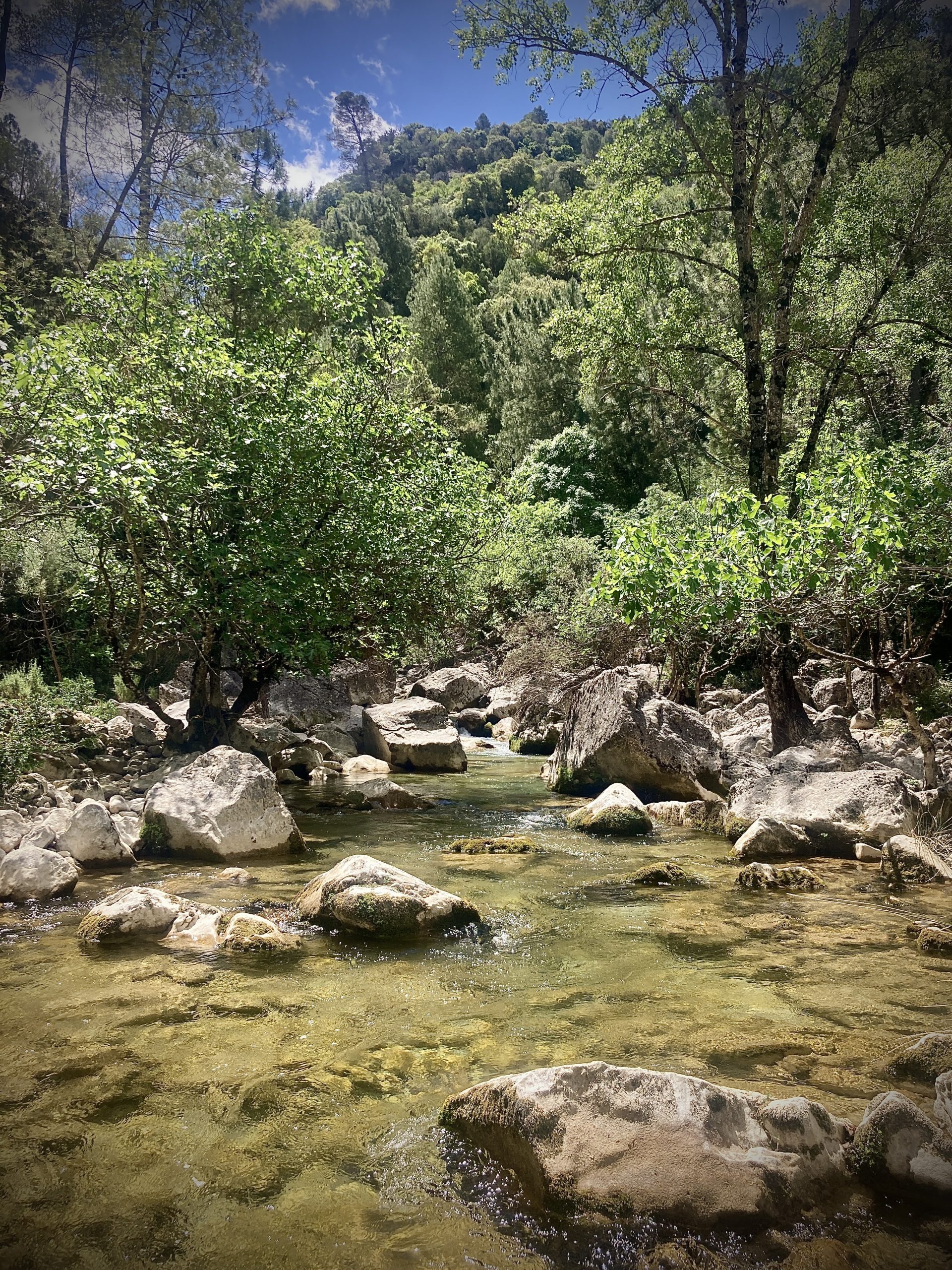 Río de montaña en la Sierra de Segura